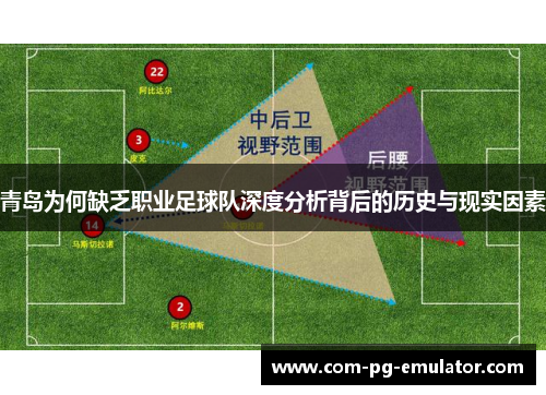 青岛为何缺乏职业足球队深度分析背后的历史与现实因素